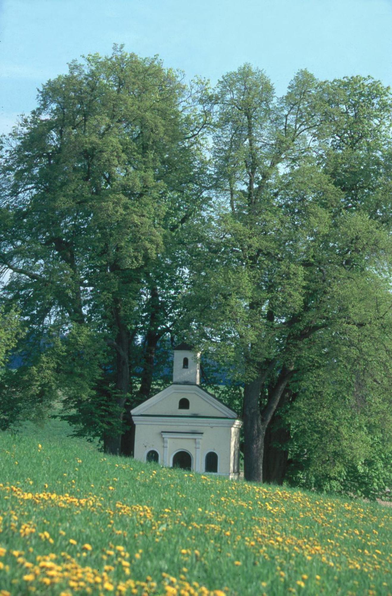 Hotel Birkenhof Therme 3*